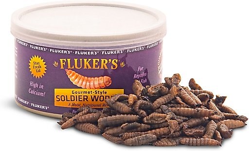 Fluker's Gourmet Canned Soldierworms Reptile Food, 1.2-oz bag