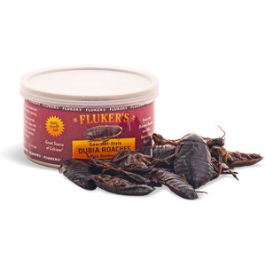 Fluker's Gourmet-Style Canned Dubia Roaches Reptile Food, 1.2-oz bag