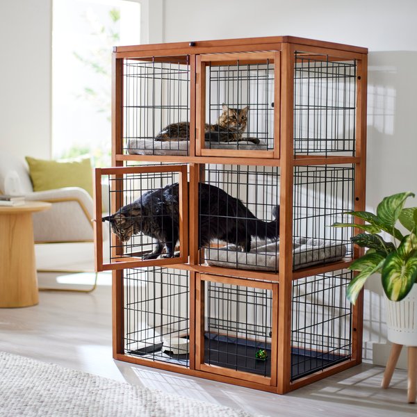 Bi-level condo from dog crate