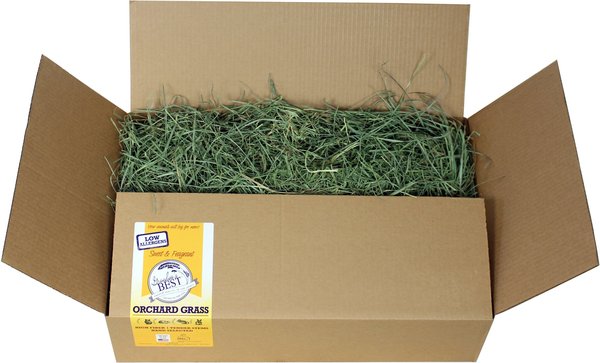 Grandpa's Best Orchard Grass Loose Boxed Hay Small Pet Food, 5-lb box slide 1 of 2