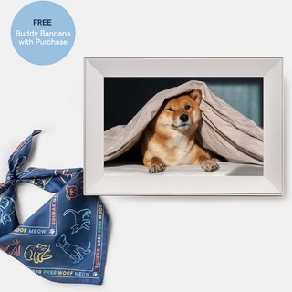 Aura Frames Buddy 10.1 inch HD Digital Wifi Pet Photo Frame slide 1 of 4