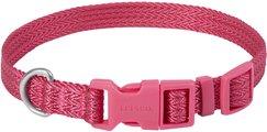 Frisco Jacquard Webbing Dog Collar, Pink, Medium - Neck: 14 -20-in, Width: 3/4-in