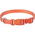 Frisco Jacquard Webbing Dog Collar, Orange, Medium - Neck: 14 -20-in, Width: 3/4-in