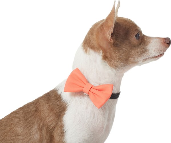 Frisco Classic Everyday Dog Collar Bow, Extra Small/Small, Orange slide 1 of 6