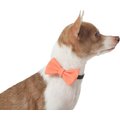 Frisco Classic Everyday Dog Collar Bow, Orange, X-Small/Small