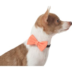 Frisco Classic Everyday Dog Collar Bow, Extra Small/Small, Orange