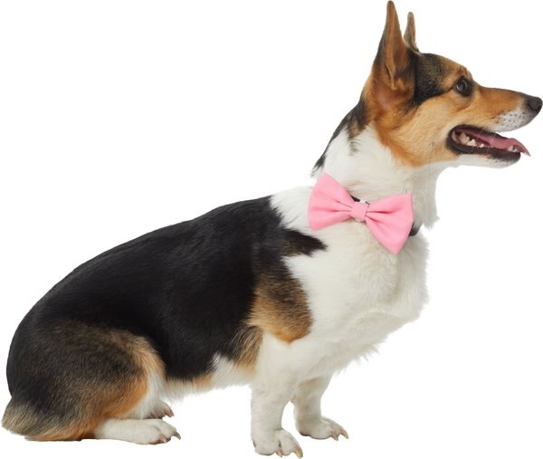 Frisco Classic Everyday Dog Collar Bow, Extra Small/Small, Pink slide 1 of 6