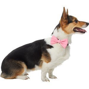 Frisco Classic Everyday Dog Collar Bow, Extra Small/Small, Pink