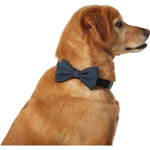 Frisco Classic Everyday Dog Collar Bow, Extra Small/Small, Black