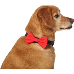 Frisco Classic Everyday Dog Collar Bow, Red, X-Small/Small