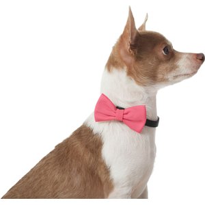 Frisco Classic Everyday Dog Collar Bow, Medium/Large, Rose Red