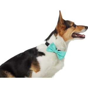 Frisco Classic Everyday Dog Collar Bow, Medium/Large, Green