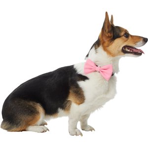 Frisco Classic Everyday Dog Collar Bow, Pink, Medium/Large