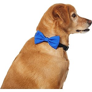 Frisco Classic Everyday Dog Collar Bow, Medium/Large, Blue