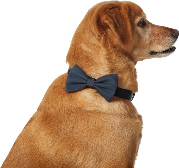 Frisco Classic Everyday Dog Collar Bow, Medium/Large, Black slide 1 of 6
