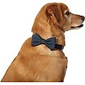 Frisco Classic Everyday Dog Collar Bow, Black, Medium/Large