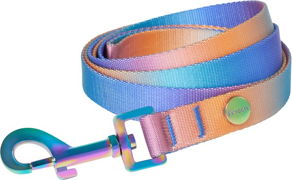 Frisco Purple Ombre Style Dog Leash, Small - Length: 6-ft, Width: 5/8-in slide 1 of 5