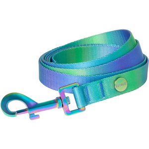 Frisco Green Ombre Style Dog Leash, SM - Length: 6-ft, Width: 5/8-in