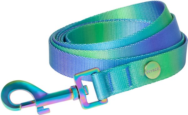 Frisco Green Ombre Style Dog Leash, LG - Length: 6-ft, Width: 1-in slide 1 of 5