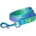 Frisco Green Ombre Style Dog Leash, Large - Length: 6-ft, Width: 1-in