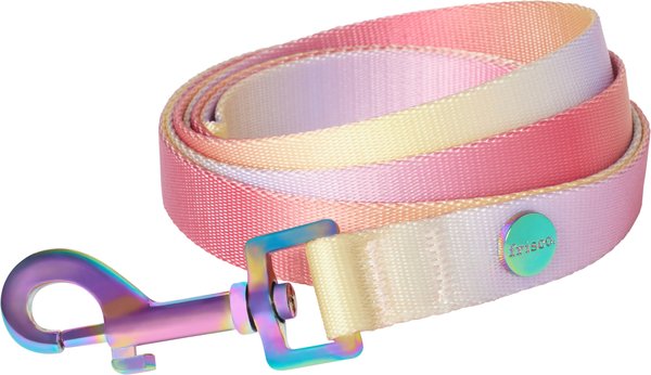Frisco Pink Ombre Style Dog Leash, SM - Length: 6-ft, Width: 5/8-in slide 1 of 5