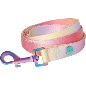 Frisco Pink Ombre Style Dog Leash, Small - Length: 6-ft, Width: 5/8-in