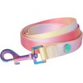 Frisco Pink Ombre Style Dog Leash, Medium - Length: 6-ft, Width: 3/4-in