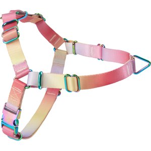 Frisco Outdoor Pink Ombre Style Dog Harness, S - Girth: 16-22-in