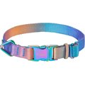 Frisco Purple Ombre Style Dog Collar, X-Small - Neck: 8 - 12-in, Width: 5/8-in