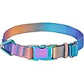 Frisco Purple Ombre Style Dog Collar, SM - Neck: 10 – 14-in, Width: 5/8-in