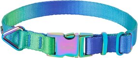 Frisco Green Ombre Style Dog Collar, SM - Neck: 10 – 14-in, Width: 5/8-in
