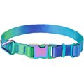 Frisco Green Ombre Style Dog Collar, Medium - Neck: 14 - 20-in, Width: 3/4-in