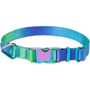 Frisco Green Ombre Style Dog Collar, MD - Neck: 14 – 20-in, Width: 3/4-in