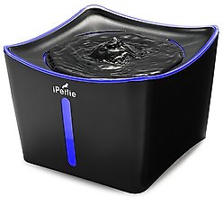 iPettie Kamino LED Lighting Pet Water Fountain, 3L, Black