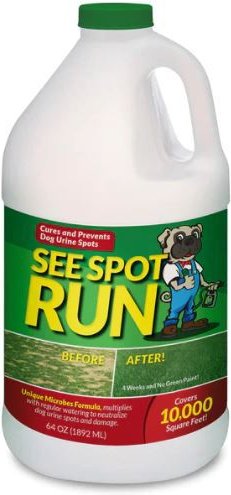 SEE SPOT RUN Dog Urine Grass Saver, 64-oz bottle - Chewy.com