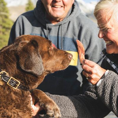 Show full view: Beg & Barker Double Pork Loin Strips Dog Jerky Treats, 10-oz bag, case of 2 slide 5 of 9