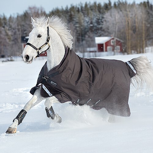 Amigo Bravo 12 Wug Med Horse Blanket, 75 slide 1 of 2