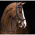 Rambo Micklem Horse Multi Bridle & Reins, Standard Horse, Black