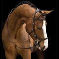 Rambo Micklem Competition Bridle & Reins, Dark Havana, Standard Horse