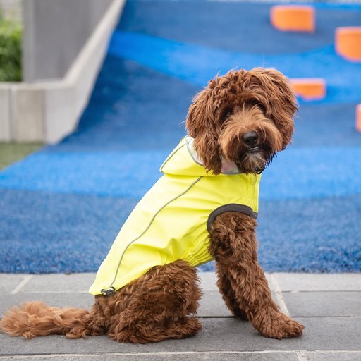 GF Pet Neon Reversible Dog Raincoat, Neon Yellow, Large