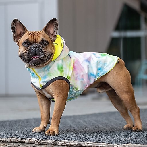 GF Pet Neon Reversible Dog Raincoat, Neon Yellow, Large