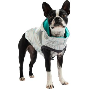 GF Pet Neon Reversible Dog Raincoat, Neon Aqua, XX-Small
