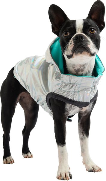 GF Pet Neon Reversible Dog Raincoat, Neon Aqua, Large slide 1 of 9