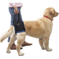 Handicappedpets rear lift combo fashion dog harness