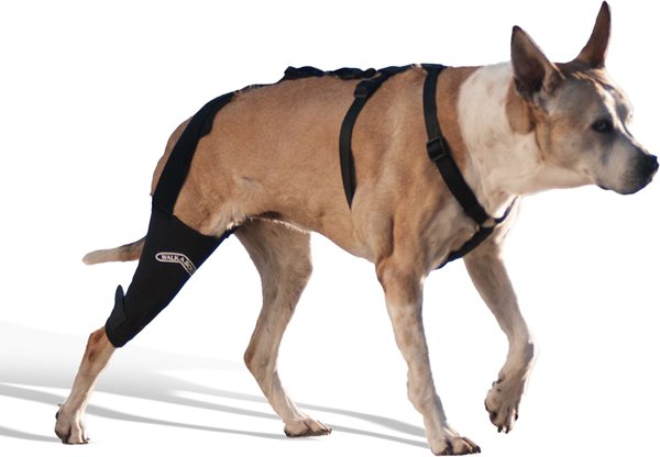 WALKABOUT Dog & Cat Knee Brace, Black, X-Large Left slide 1 of 6
