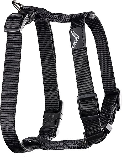WALKABOUT Chest Halter Adjustable Dog & Cat Harness, Black, Medium slide 1 of 6