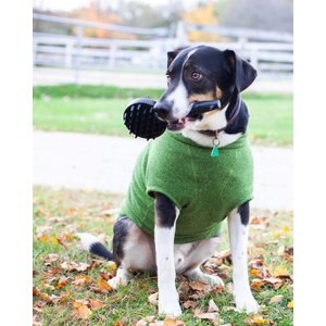 Curry on a Stik Horse & Dog Grooming Brush