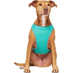 Canada Pooch Wet Reveal Smiley Cooling Dog Vest, 8