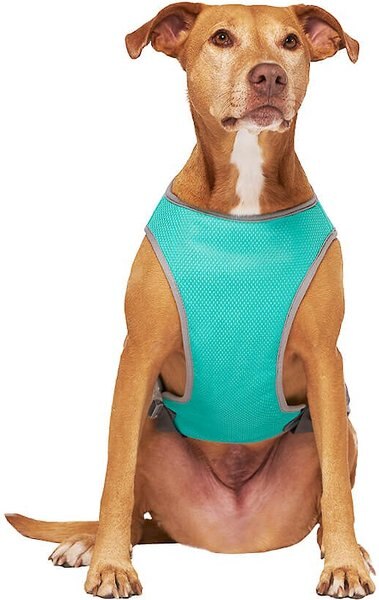 Canada Pooch Wet Reveal Smiley Cooling Dog Vest, 16 slide 1 of 5