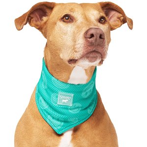 Canada Pooch Wet Reveal Smiley Cooling Dog Bandana